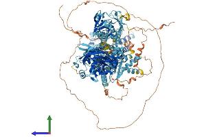 AlphaFold protein structure predicition of Mouse Recombinant Atp8b3 Protein, UniprotID Q6UQ17