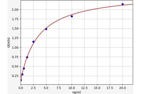 CPOX ELISA Kit