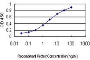 Detection limit for recombinant GST tagged GNG4 is approximately 0. (GNG4 antibody  (AA 1-75))