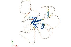 AlphaFold protein structure predicition of Human Recombinant DCP1A Protein, UniprotID Q9NPI6 (DCP1A Protein (AA 1-582) (His tag))