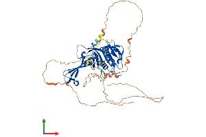 AlphaFold protein structure predicition of Human Recombinant USP17L2 Protein, UniprotID Q6R6M4 (USP17L2 Protein (AA 1-530) (His tag))