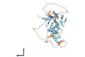 AlphaFold protein structure predicition of Human Recombinant ZKSCAN4 Protein, UniprotID Q969J2 (ZKSCAN4 Protein (AA 1-545) (His tag))