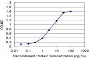 Detection limit for recombinant GST tagged RUNX2 is approximately 0. (RUNX2 antibody  (AA 251-350))