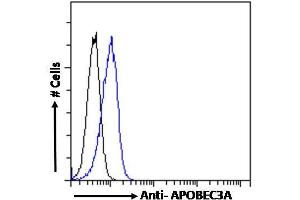 ABIN238645 Flow cytometric analysis of paraformaldehyde fixed Jurkat cells (blue line), permeabilized with 0. (APOBEC3A antibody  (Internal Region))