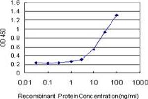 Detection limit for recombinant GST tagged ANGPTL6 is approximately 1ng/ml as a capture antibody. (ANGPTL6 antibody  (AA 211-299))