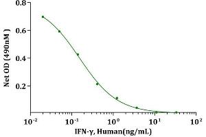 IFN-γ, Human induced cytotoxicity of HT-29 (HTB-38) cells.