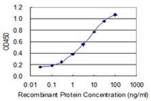 Detection limit for recombinant GST tagged ZNF7 is 0. (ZNF7 antibody  (AA 67-165))