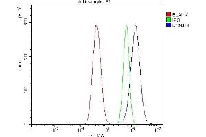 Flow Cytometry analysis of U87 cells using anti-KCNJ16 antibody (ABIN7599369).