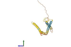 Protein Structure (PS) image for Translocase of Inner Mitochondrial Membrane 23 Homolog (Yeast) (TIMM23) (AA 1-209) protein (His tag) (ABIN7556246)