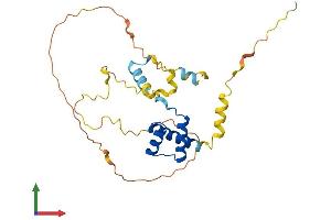 Protein Structure (PS) image for Goosecoid Homeobox (GSC) (AA 1-256) protein (His tag) (ABIN7556869)