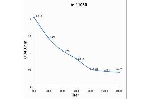 Antigen: 0. (PD-L1 antibody  (AA 201-290))