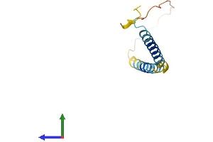 AlphaFold protein structure predicition of Mouse Recombinant Tceal9 Protein, UniprotID Q9DD24 (WW Domain Binding Protein 5 (WBP5) (AA 1-104) protein (His tag))