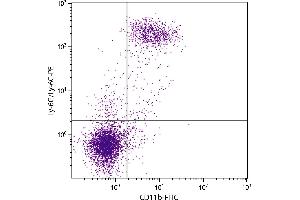 BALB/c mouse splenocytes were stained with Rat Anti-Mouse CD11b-FITC. (CD11b antibody)