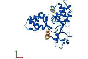 Protein Structure (PS) image for Non-SMC Element 1 Homolog (NSMCE1) (AA 1-266) protein (His tag) (ABIN7549991)