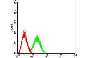 Flow cytometric analysis of Jurkat cells using BCL11B mouse mAb (green) and negative control (red). (BCL11B antibody  (AA 1-150))