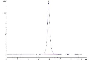 Size-exclusion chromatography-High Pressure Liquid Chromatography (SEC-HPLC) image for CD24 Molecule (CD24) (AA 27-54) protein (Fc Tag) (ABIN7274098)