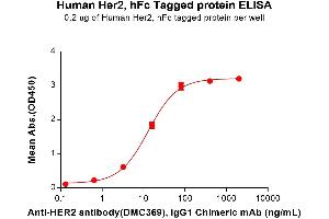 ELISA plate pre-coated by 2 μg/mL (100 μL/well) Human Protein, hFc Tag (ABIN7092817, ABIN7272442 and ABIN7272443) can bind Anti- antibody, IgG1 Chimeric mAb in a linear range of 3.