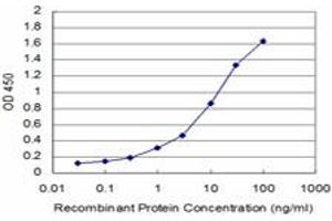 Detection limit for recombinant GST tagged GTF2H1 is approximately 0. (GTF2H1 antibody  (AA 449-548))