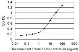 TTL antibody  (AA 279-377)