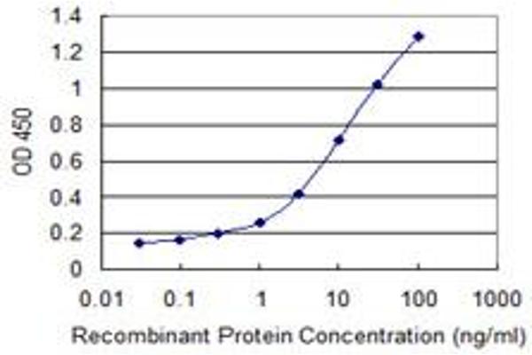 TTL antibody  (AA 279-377)