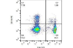 Flow cytometry analysis (surface staining) of CD195 in human peripheral blood with anti-CD195 (T21/8) PE. (CCR5 antibody  (AA 1-22) (PE))