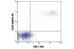 Flow Cytometry (FACS) image for anti-CD79b Molecule, Immunoglobulin-Associated beta (CD79B) antibody (APC) (ABIN2658715) (CD79b antibody  (APC))
