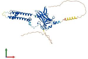 AlphaFold protein structure predicition of Mouse Recombinant Kcnj12 Protein, UniprotID P52187 (Kir2.2 Protein (AA 1-427) (His tag))