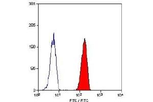 Staining of human peripheral blood granulocytes with mouse anti human CD32-FITC (FCGR2A antibody  (FITC))