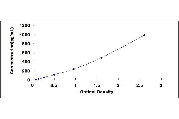 IL-1 beta ELISA Kit