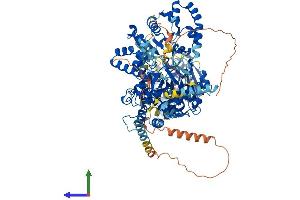 AlphaFold protein structure predicition of Mouse Recombinant Dhx36 Protein, UniprotID Q8VHK9 (DHX36 Protein (AA 1-1001) (His tag))