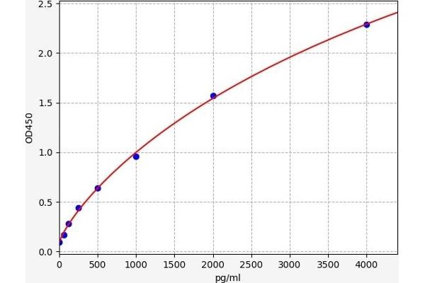 XCL1 ELISA Kit