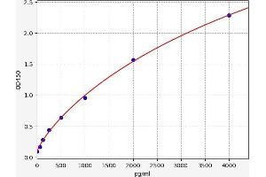 Typical standard curve (XCL1 ELISA Kit)