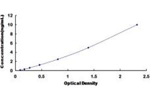 Desmocollin 3 ELISA Kit