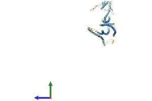 AlphaFold protein structure predicition of Human Recombinant CCDC39 Protein, UniprotID Q9UFE4 (CCDC39 Protein (AA 1-941) (His tag))