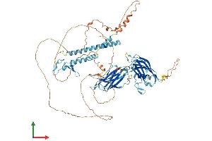 Protein Structure (PS) image for Synaptotagmin-Like 5 (SYTL5) (AA 1-753) protein (His tag) (ABIN7558313)