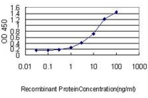Detection limit for recombinant GST tagged FTL is approximately 0. (FTL antibody  (AA 1-175))