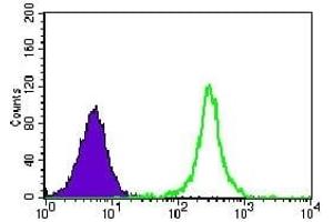 Flow cytometric analysis of K562 cells using TBLR1 mouse mAb (green) and negative control (purple).