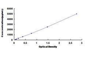 Glutaredoxin 1 (GRX1) ELISA Kit