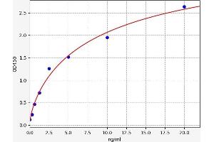 MERTK ELISA Kit