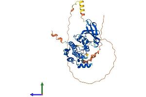 AlphaFold protein structure predicition of Human Recombinant AURKA Protein, UniprotID O14965 (Aurora A Protein (AA 1-403) (His tag))