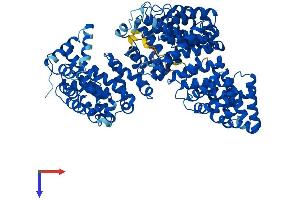 TNPO2 Protein (AA 1-887) (His tag)