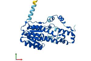 Protein Structure (PS) image for Short Chain Dehydrogenase/reductase Family 9C, Member 7 (SDR9C7) (AA 1-313) protein (His tag) (ABIN7559552)