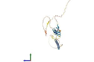 Protein Structure (PS) image for Tumor Necrosis Factor Receptor Superfamily, Member 13B (TNFRSF13B) (AA 1-293) protein (His tag) (ABIN7544550)