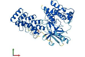 AlphaFold protein structure predicition of Human Recombinant ILK Protein, UniprotID Q13418 (ILK Protein (AA 1-452) (His tag))