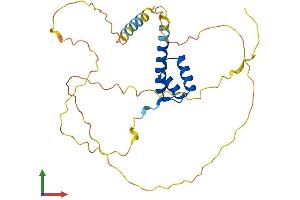 Protein Structure (PS) image for Paired-Like Homeobox 2a (PHOX2A) (AA 1-280) protein (His tag) (ABIN7557756)