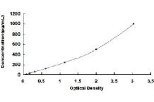 Typical standard curve (FGF7 ELISA Kit)