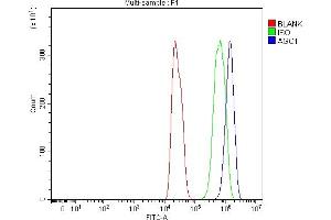 Flow Cytometry analysis of C6 cells using anti-AGO1 antibody (ABIN7601531). (AGO1 antibody  (AA 376-409))