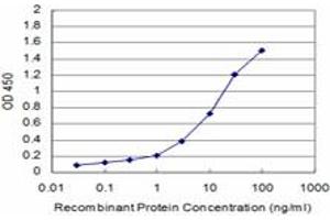 Detection limit for recombinant GST tagged GCSH is approximately 0. (GCSH antibody  (AA 1-173))