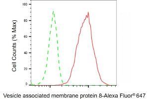Flow cytometric analysis of Vesicle associated membrane protein 8 expression in HepG2 cells using Vesicle associated membrane protein 8 antibody ( (ABIN7800832), 1:2,000). (Recombinant VAMP8 antibody)