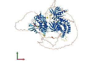 AlphaFold protein structure predicition of Human Recombinant FARP2 Protein, UniprotID O94887